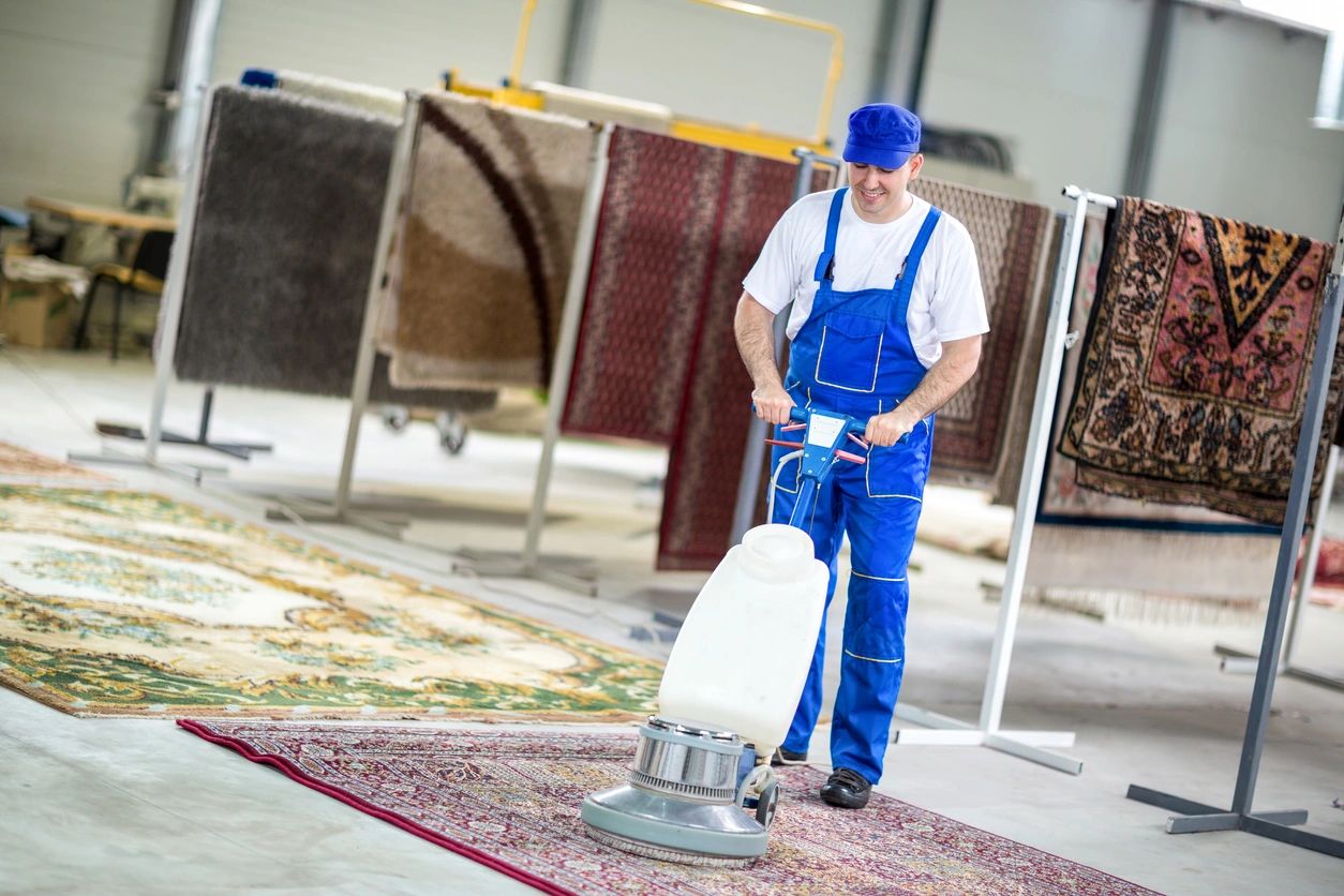 Professional carpet cleaner at work